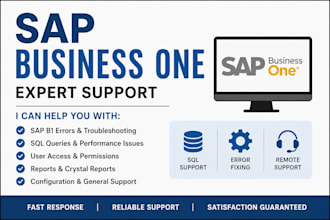 sap business one functional