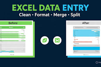 clean, format, merge, split excel data