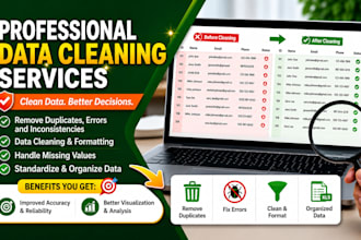 do excel data cleaning,formatting,data cleanup or csv files