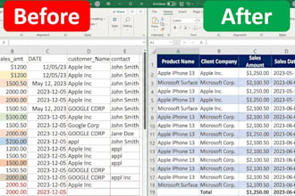 professionally handle data cleaning and formatting