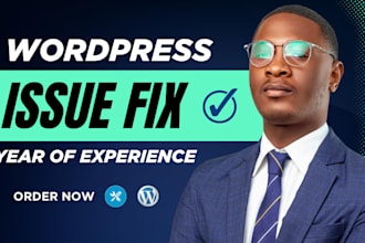 customize wordpress layout issues and errors fast