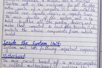 provide professional handwriting services
