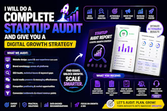 do complete startup audit and give you digital growth strategy