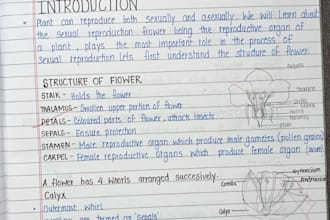 do beautiful and neat handwritten assignments or notes