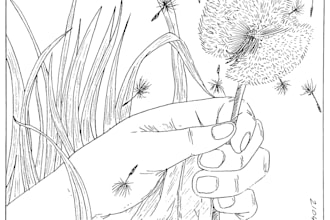 draw a simple pen and ink illustration with fine lines