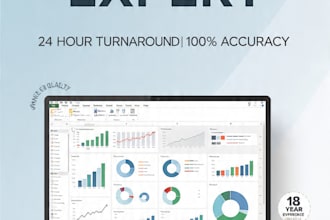 provide expert excel data cleaning and dashboards with in 24 hours