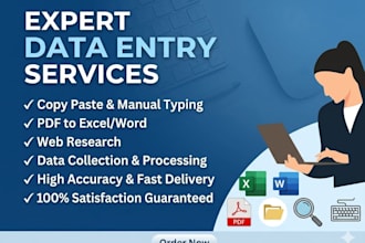 do professional data entry and fast copy paste work