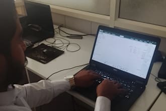 do professional accounting work
