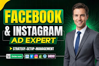 setup and manage facebook ads advertising marketing campaign, meta ads campaign