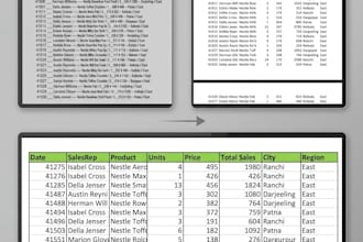 do professional excel data cleaning and data entry