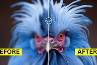 upscale enhance picture, unblur, and increase image resolution