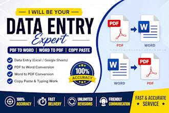 do data entry and PDF to word conversion