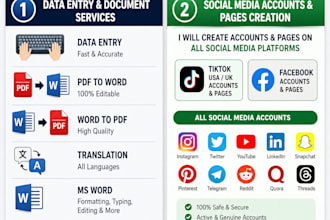 do data entry PDF ms word typing