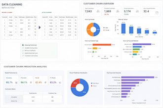 do data analysis, cleaning and visualization using python or excel
