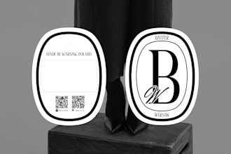 do premium business logo design and brand identity