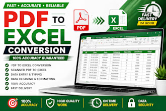 convert pdf to excel with accuracy and fast delivery