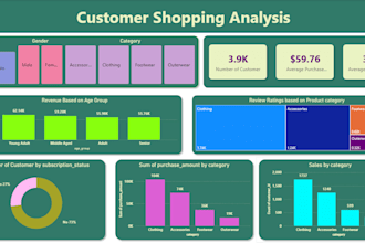 do data analytics , powerbi dashboards , python , microsoft excel