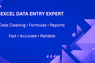 do excel data entry and reports