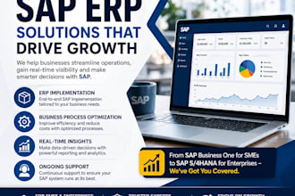 provide sap business one erp consultation