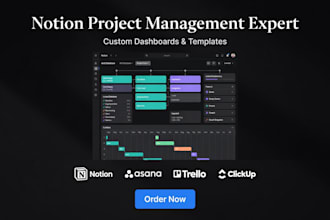setup custom notion project management dashboard and template