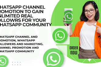 deliver whatsapp channel promotion to gain followers whatsapp marketing