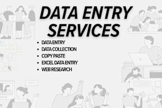 do expert data entry, copy paste, and web research