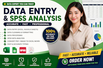 do data entry, excel data processing and spss analysis