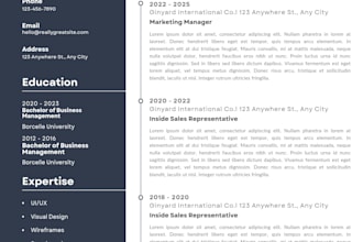 write a professional CV, resume and cover letter