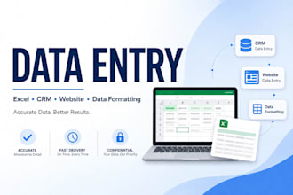 do excel data entry, data formatting and data cleanup