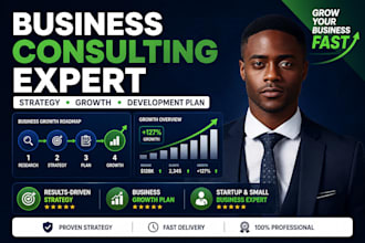 provide business consulting and business development plan