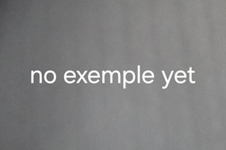 provide you with the most accurate translation possible