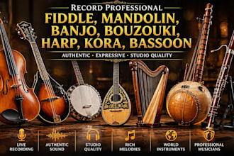 record professional fiddle, mandolin, banjo, bouzouki, harp, kora, bassoon
