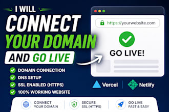 connect your domain and go live