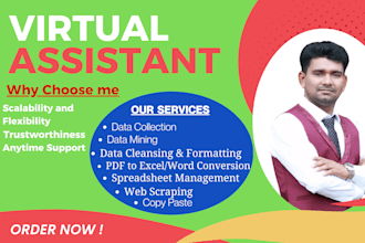 provide high quality data entry  and lead generation service