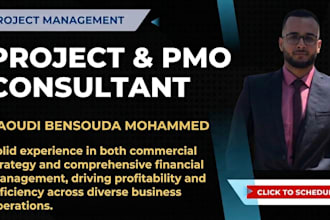 be your project management consultant for planning and reporting
