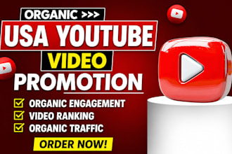 do organic usa youtube video promotion for  channel growth