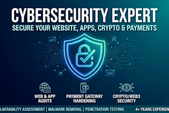 provide professional cybersecurity audits and vulnerability assessments