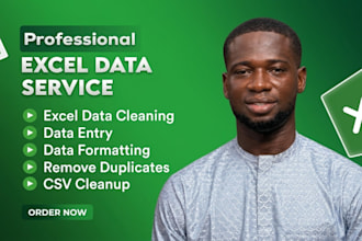 do professional excel data cleaning, data entry, data formatting