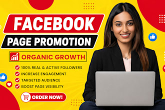 run facebook page promotion ad to grow page followers