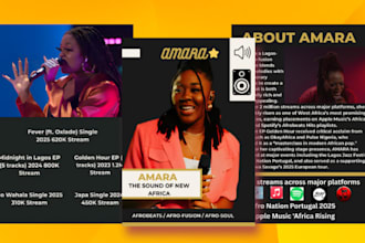 design professional epk, electronic press kit, and media kit, musician press kit
