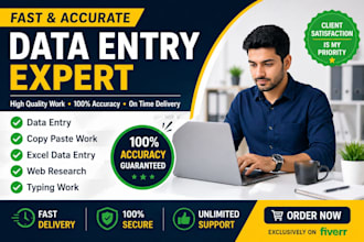 do faster and accurate data entry, excel work