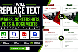 replace text in images, screenshots, pdfs, and documents professionally