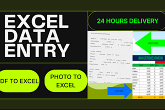do fast excel data entry, pdf to excel, photo to excel in 24 hours