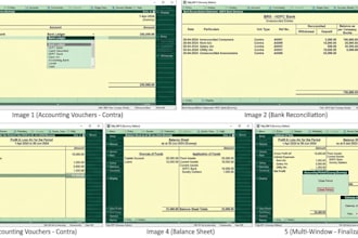 do professional tally accounting pl and balance sheet