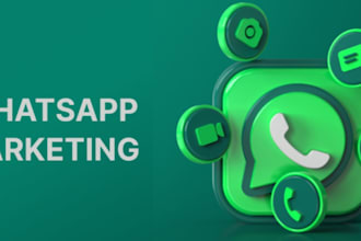 build whatsapp growth,channel followers,5k targeted audience,whatsapp promotion