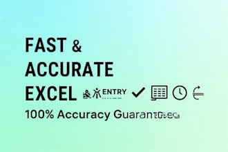 do fast and accurate excel data entry and data cleanup