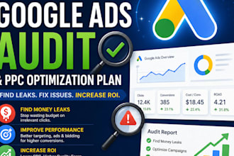 perform a professional google ads audit and ppc optimization plan