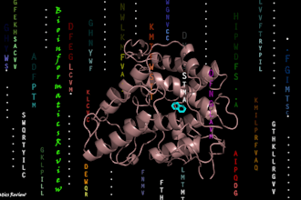 perform molecular docking and pymol visualization