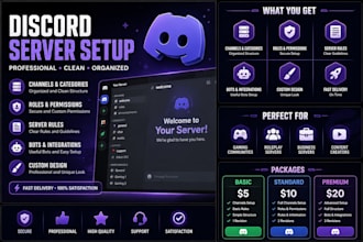 create and setup a professional discord server