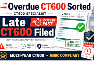 file your overdue ct600 and catch up on multiple years corporation tax returns